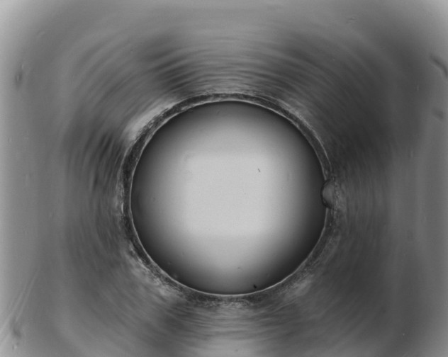 X0000103300979200809051519