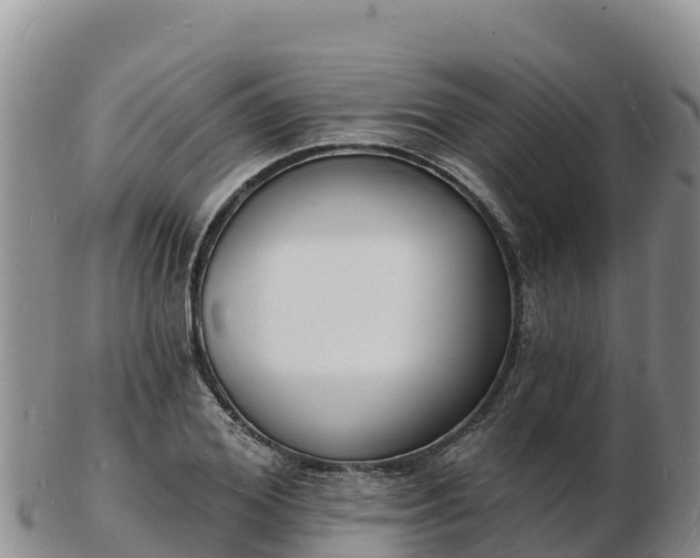 X0000103300980200809051519