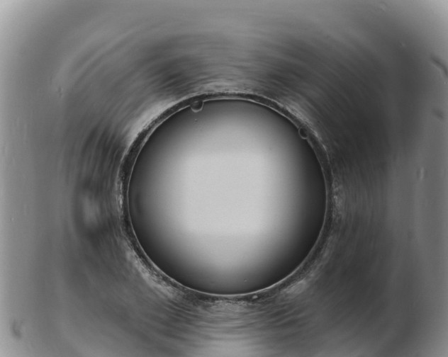 X0000103300981200809051519