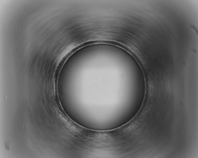 X0000103300982200809051519