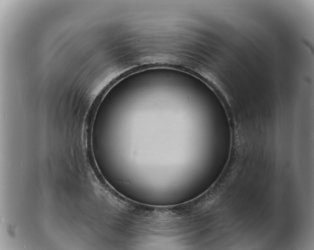 X0000103300983200809051519