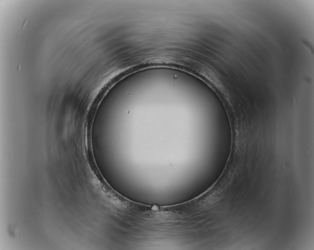 X0000103300984200809051519