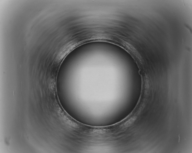 X0000103300985200809051519