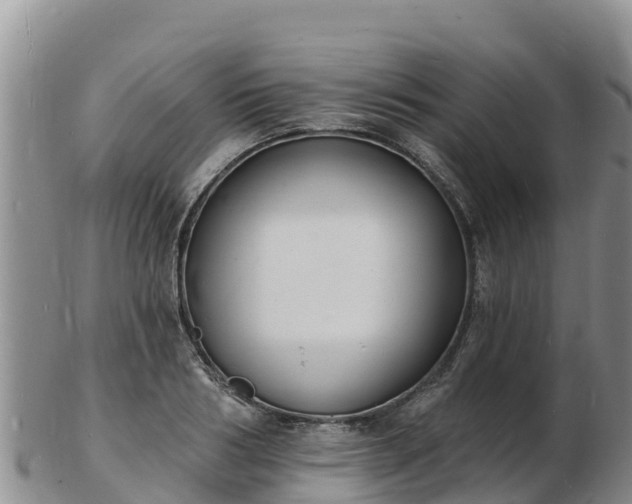 X0000103300986200809051519