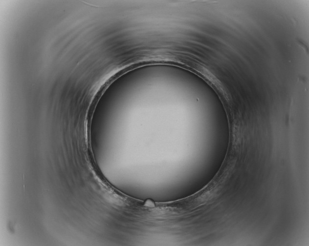 X0000103300988200809051519