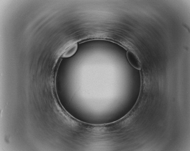 X0000103300989200809051519