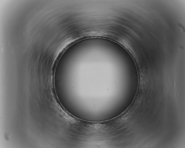 X0000103300992200809051518