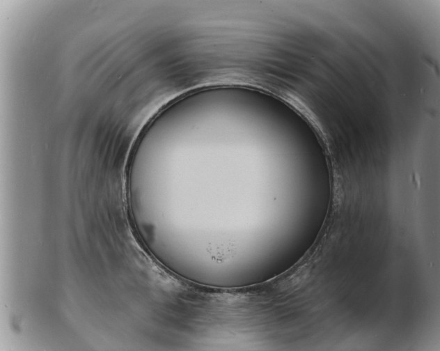 X0000103300996200809051518