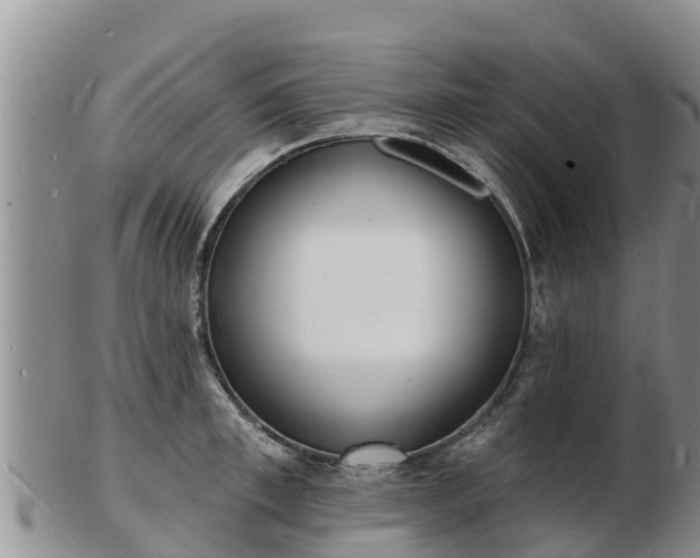 X0000103300997200809051518