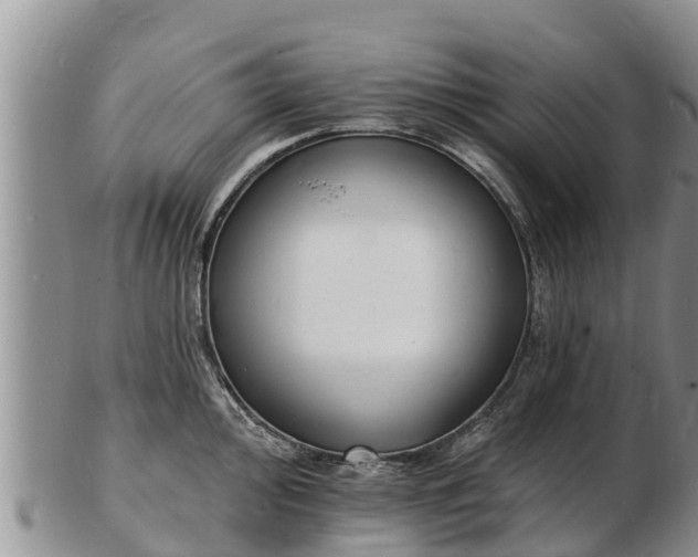 X0000103301000200809051518