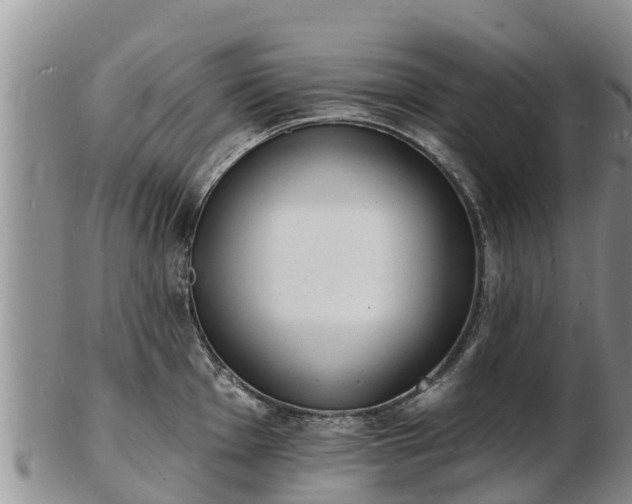 X0000103301001200809051518