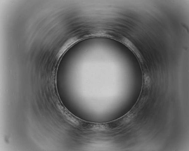 X0000103301002200809051518