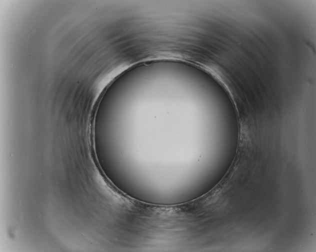 X0000103301003200809051518