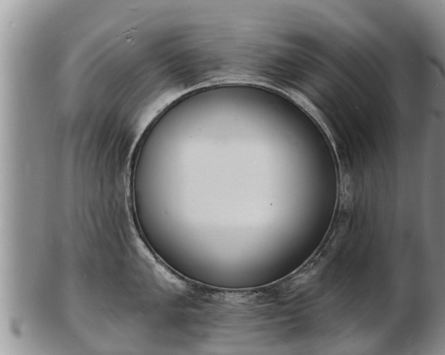 X0000103301005200809051518