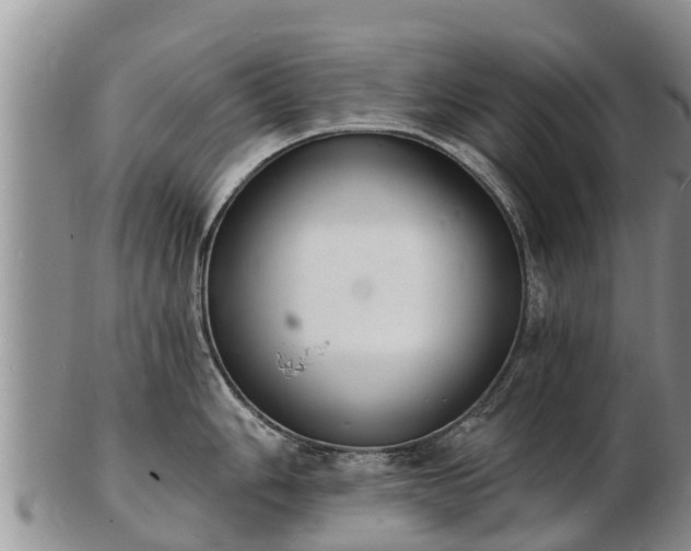 X0000103301006200809051518