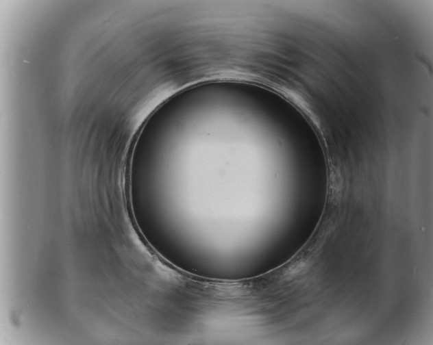 X0000103301007200809051518