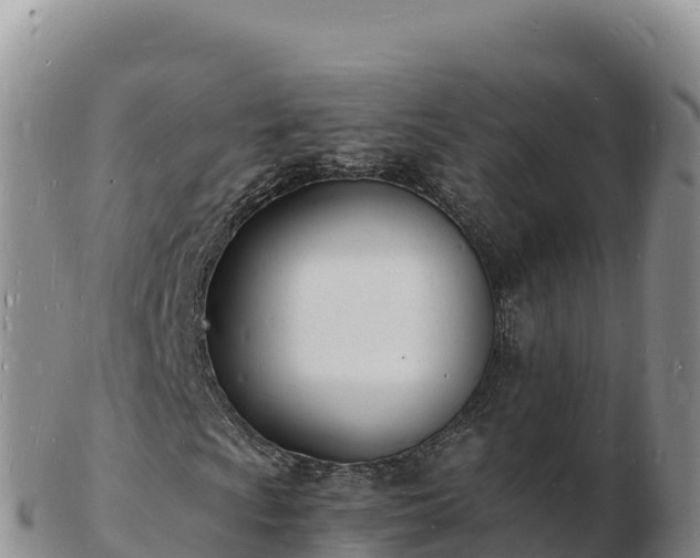 X0000103301009200809051518