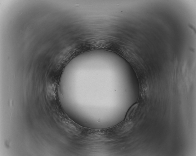 X0000103301010200809051518