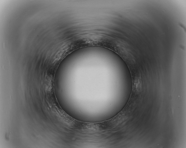 X0000103301012200809051518