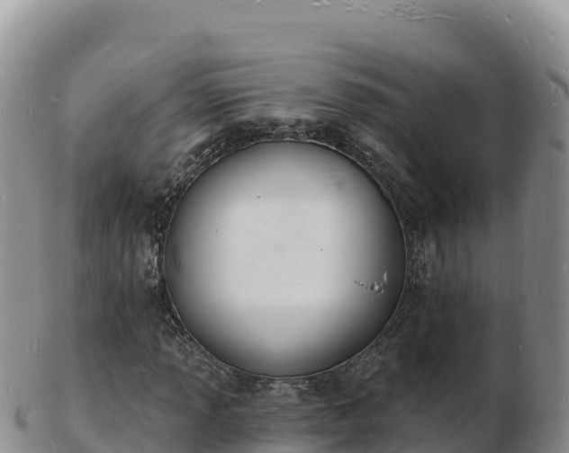 X0000103301013200809051518