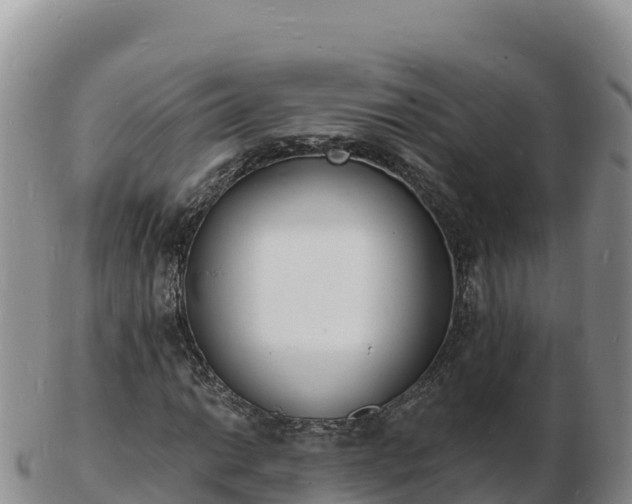 X0000103301014200809051518