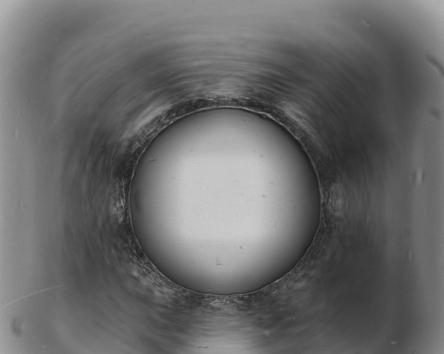 X0000103301015200809051518