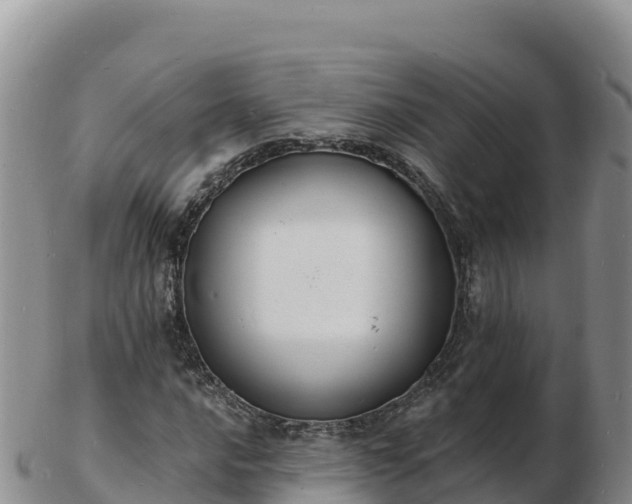 X0000103301016200809051518