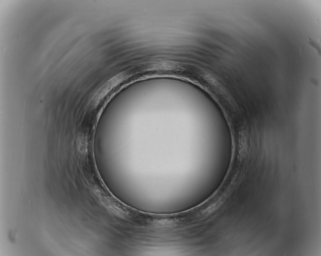 X0000103301017200809051518