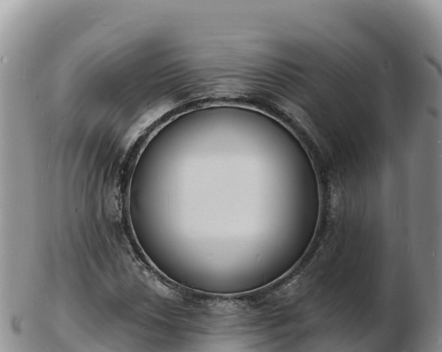 X0000103301018200809051518