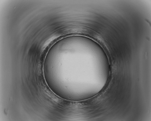 X0000103301019200809051518