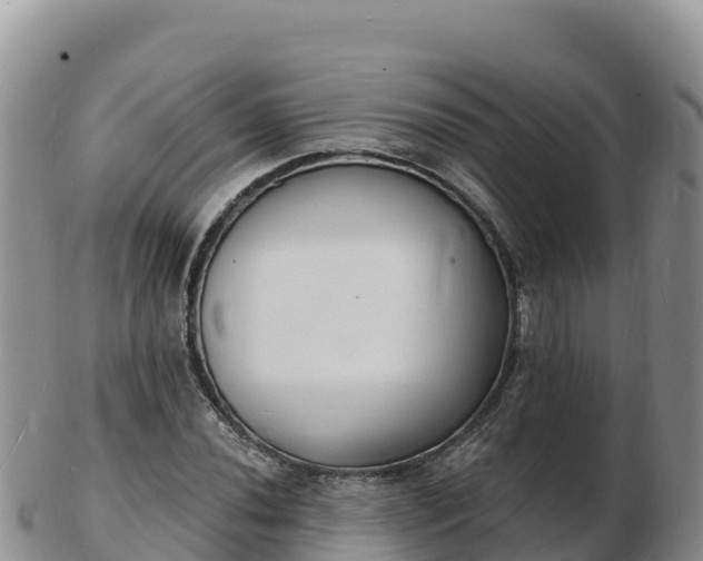 X0000103301020200809051518