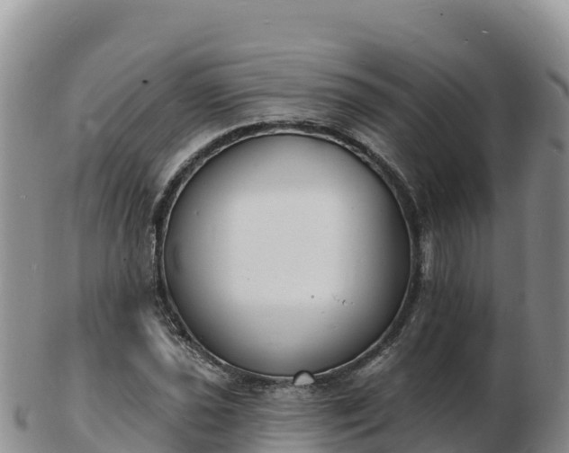 X0000103301021200809051518