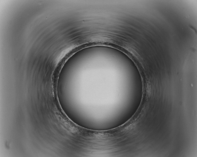 X0000103301022200809051518