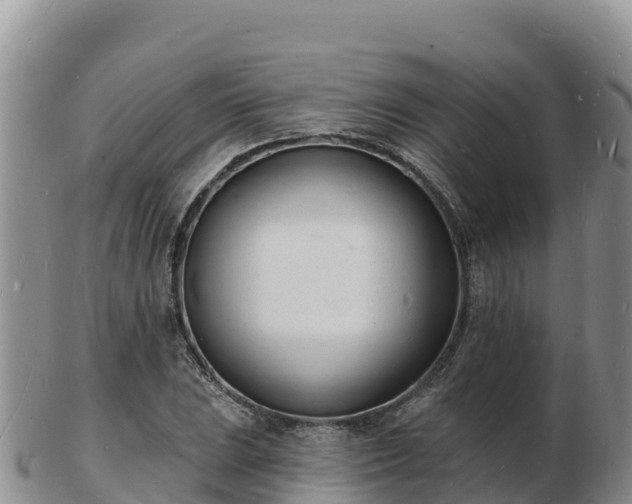 X0000103301023200809051518