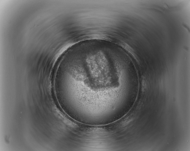 X0000103301024200809051518