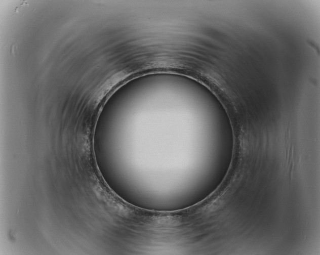 X0000103301025200809051518