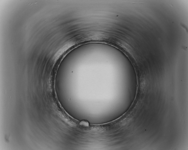 X0000103301026200809051518