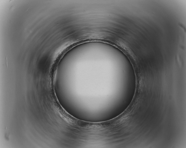 X0000103301027200809051518