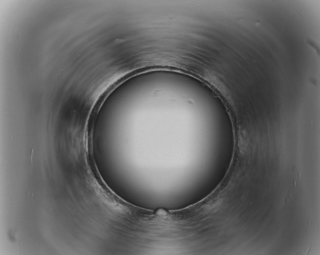 X0000103301028200809051518