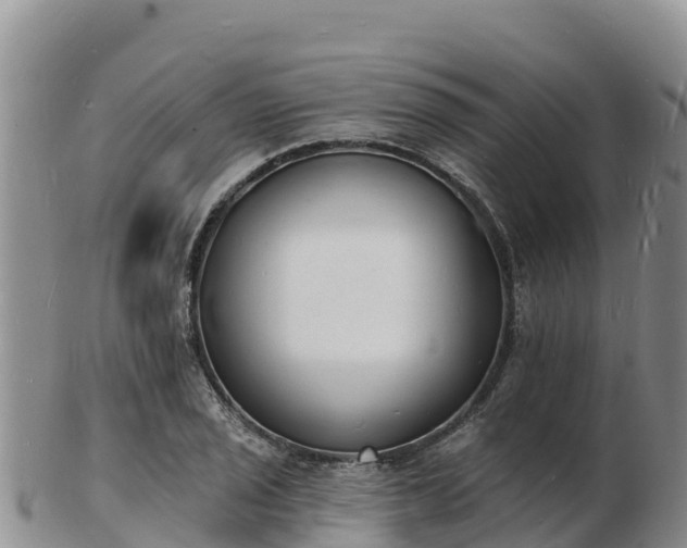 X0000103301029200809051518