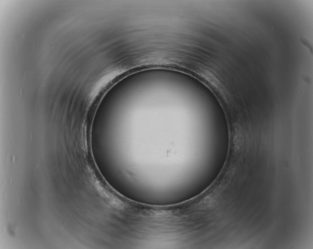 X0000103301030200809051518