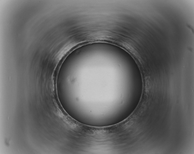 X0000103301031200809051518