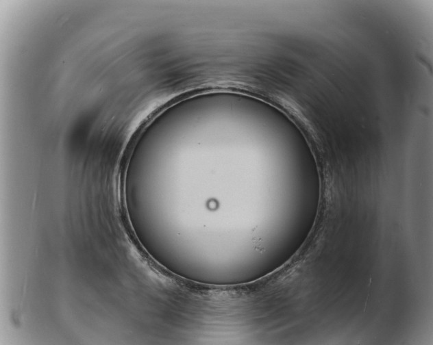 X0000103301032200809051518