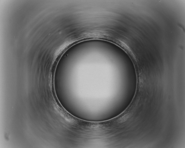 X0000103301035200809051518