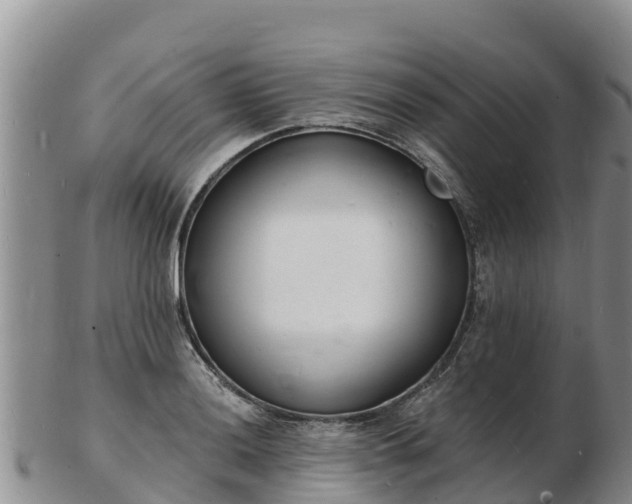 X0000103301036200809051518