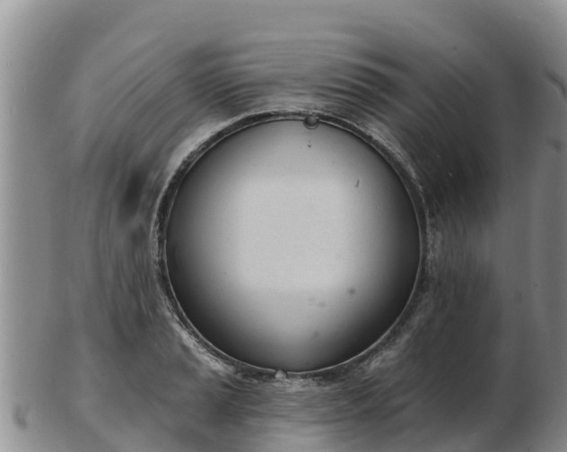 X0000103301037200809051518