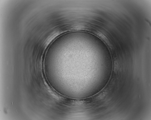 X0000103301039200809051518