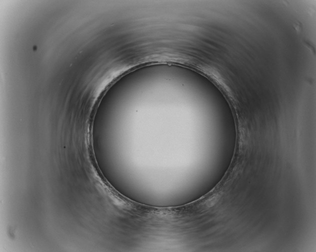 X0000103301040200809051518