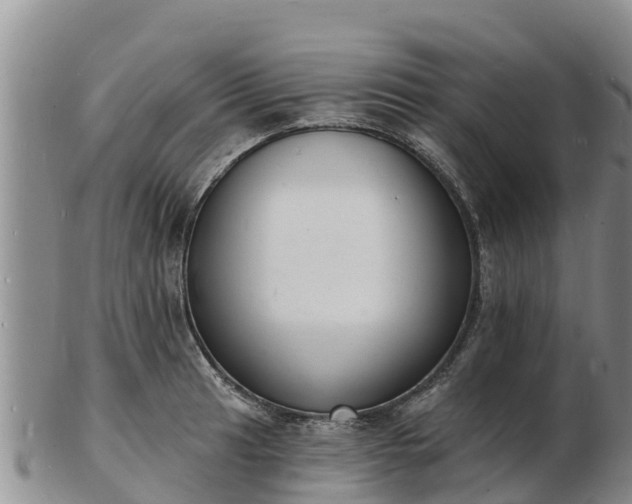 X0000103301041200809051518