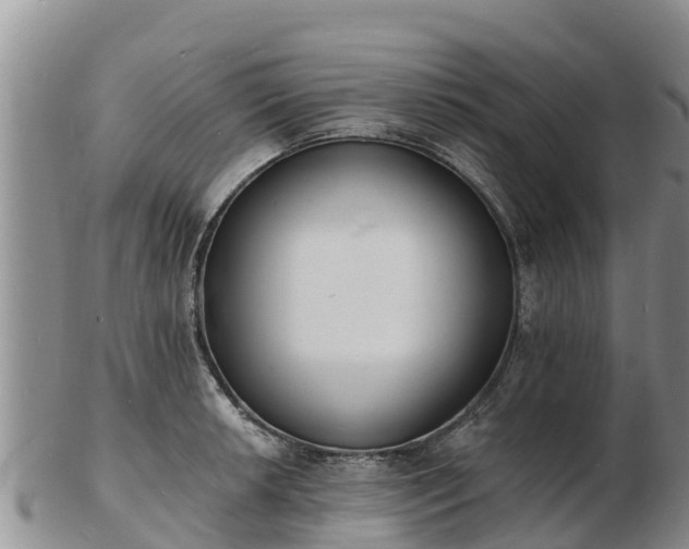 X0000103301042200809051518